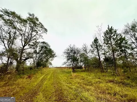 4237 Us Highway 1, Lyons, GA 30436 photo 44