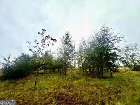 4237 Us Highway 1, Lyons, GA 30436 photo 51