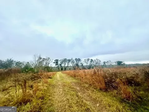 4237 Us Highway 1, Lyons, GA 30436 photo 55