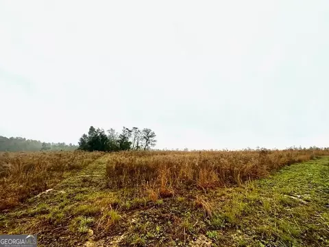 4237 Us Highway 1, Lyons, GA 30436 photo 39