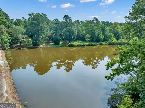 View/Area - 754 Dixon Rd, Roberta, GA 31078 photo 8 of 11