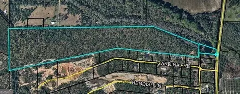 33 Acres Ware St, Blackshear, GA 31516