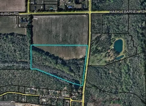 21 Acres Ware St, Blackshear, GA 31516