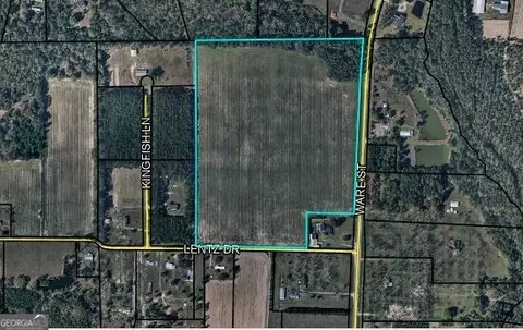 39 Acres Ware St, Blackshear, GA 31516