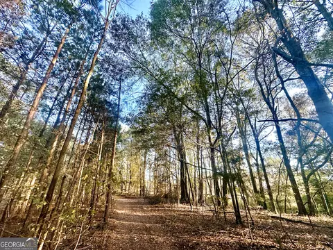 2520 Highway 172, Comer, GA 30629 photo 34