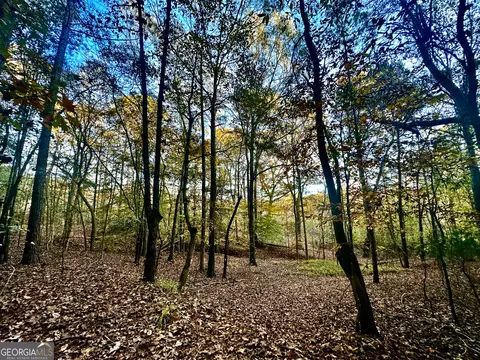 2520 Highway 172, Comer, GA 30629 photo 42