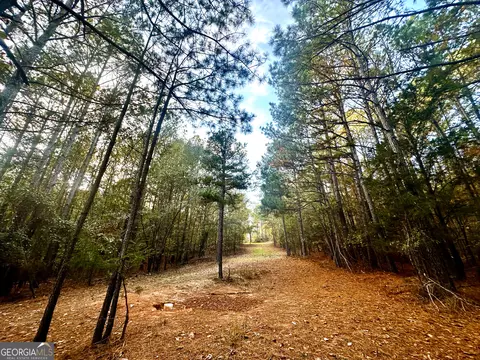 2520 Highway 172, Comer, GA 30629 photo 48