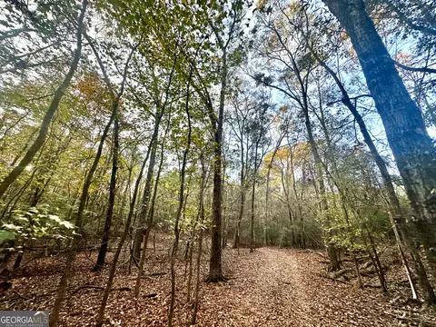 2520 Highway 172, Comer, GA 30629 photo 38