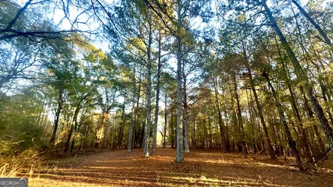 2520 Highway 172, Comer, GA 30629 photo 17