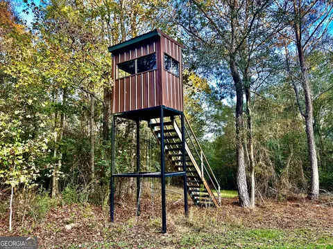 2520 Highway 172, Comer, GA 30629 photo 52