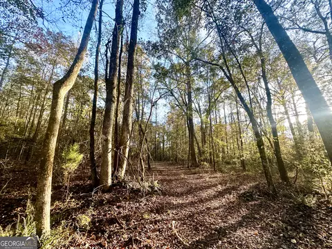 2520 Highway 172, Comer, GA 30629 photo 32
