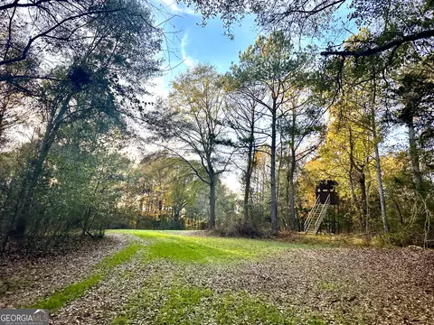 2520 Highway 172, Comer, GA 30629 photo 46