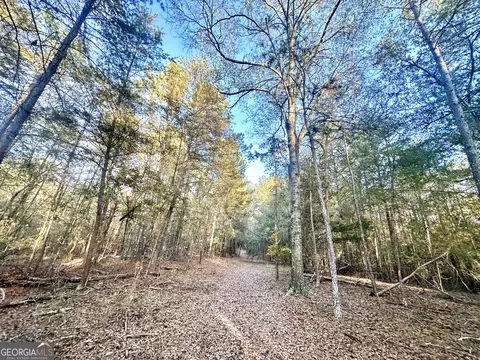 2520 Highway 172, Comer, GA 30629 photo 31