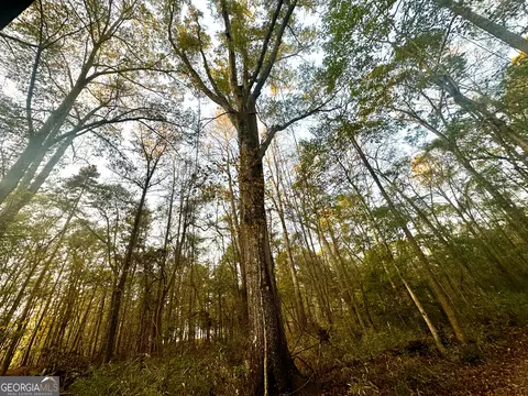 2520 Highway 172, Comer, GA 30629 photo 53