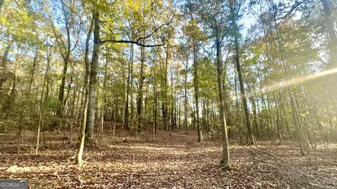 2520 Highway 172, Comer, GA 30629 photo 9