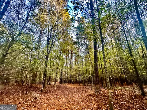 2520 Highway 172, Comer, GA 30629 photo 43