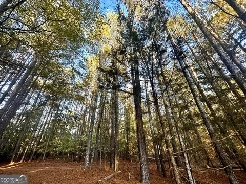 2520 Highway 172, Comer, GA 30629 photo 30