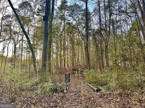 2520 Highway 172, Comer, GA 30629 photo 54