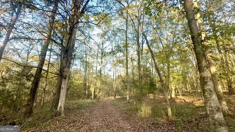 2520 Highway 172, Comer, GA 30629 photo 10