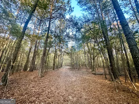 2520 Highway 172, Comer, GA 30629 photo 58