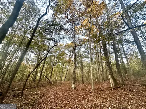 2520 Highway 172, Comer, GA 30629 photo 56
