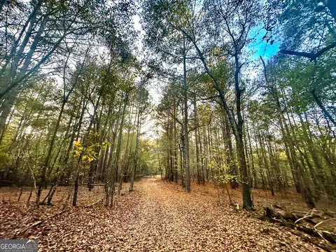 2520 Highway 172, Comer, GA 30629 photo 57