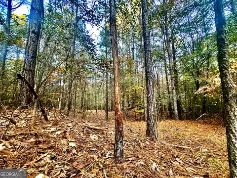 2520 Highway 172, Comer, GA 30629 photo 47