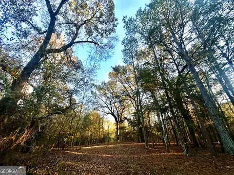 2520 Highway 172, Comer, GA 30629 photo 28