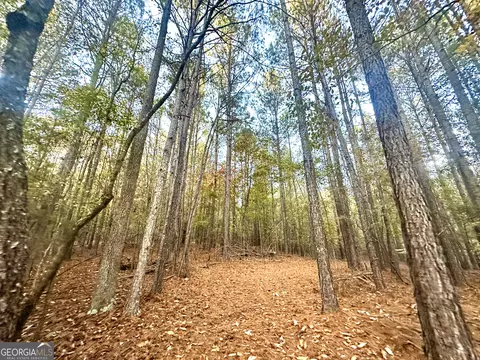 2520 Highway 172, Comer, GA 30629 photo 40