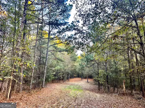 2520 Highway 172, Comer, GA 30629 photo 44