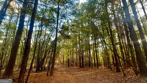 2520 Highway 172, Comer, GA 30629 photo 15
