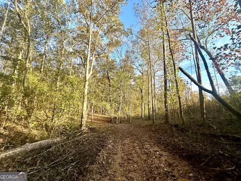 2520 Highway 172, Comer, GA 30629 photo 33