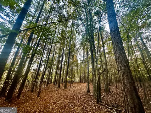 2520 Highway 172, Comer, GA 30629 photo 41