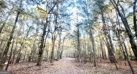 2520 Highway 172, Comer, GA 30629 photo 21