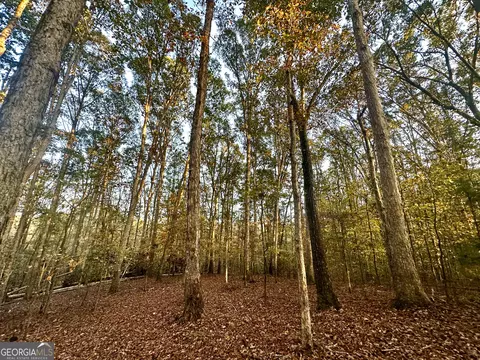 2520 Highway 172, Comer, GA 30629 photo 37