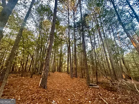 2520 Highway 172, Comer, GA 30629 photo 36