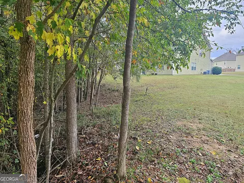 10 Ibis Ln, Covington, GA 30014 photo 6