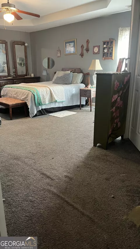10 Ibis Ln, Covington, GA 30014 photo 30