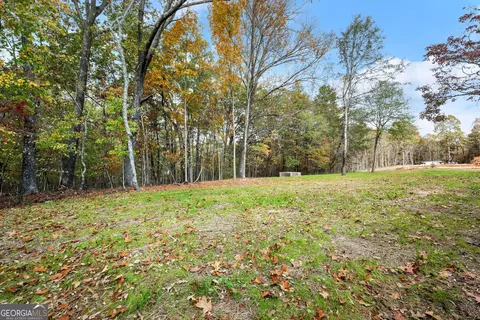 1391 Daniel Rd, Demorest, GA 30535 photo 11