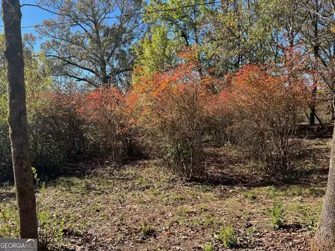 1391 Daniel Rd, Demorest, GA 30535 photo 38