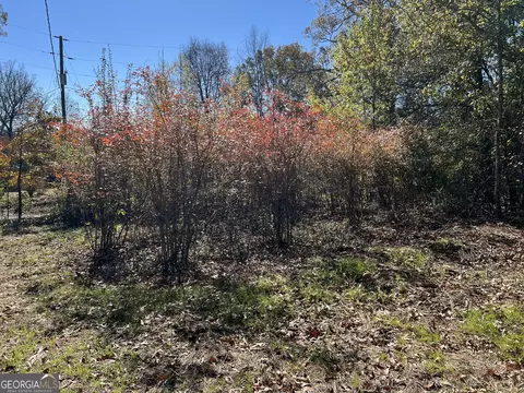 1391 Daniel Rd, Demorest, GA 30535 photo 39