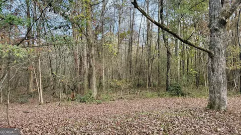 56 Martin Springs Ln, Cleveland, GA 30528