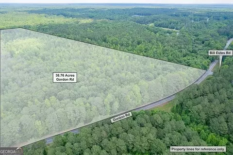 38 7 Acres Gordon Rd, Senoia, GA 30276