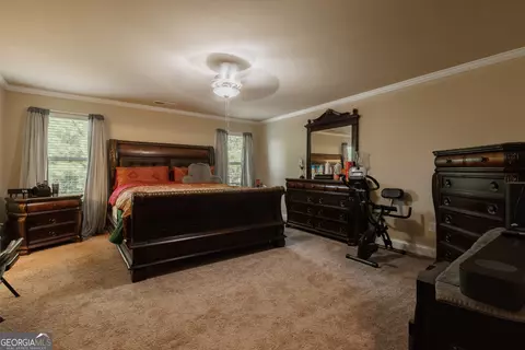 12233 Florin St, Hampton, GA 30228 photo 16