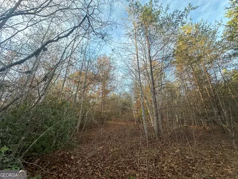 4715 Prather Bridge Rd, Toccoa, GA 30577 photo 48