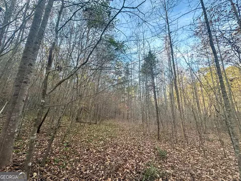 4715 Prather Bridge Rd, Toccoa, GA 30577 photo 69