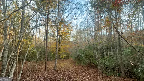 4715 Prather Bridge Rd, Toccoa, GA 30577 photo 83