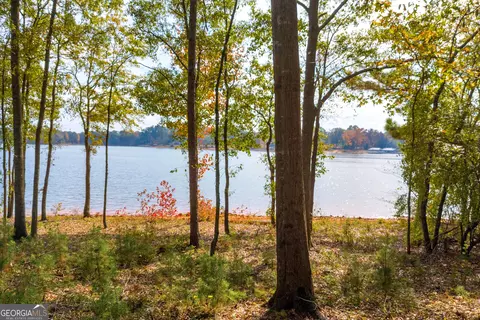 lot16 Pointe Sidney, Hartwell, GA 30643