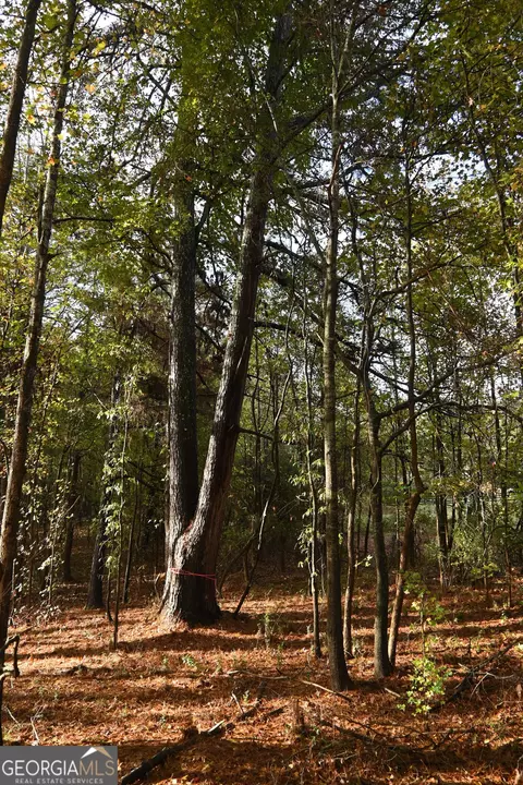 115 Kenmare Row, Tyrone, GA 30290 photo 7