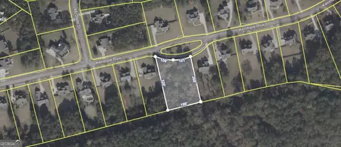 115 Kenmare Row, Tyrone, GA 30290 photo 2